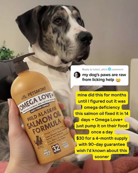 This 4:5 ratio ad uses a social media reply screenshot to address a pet owner's pain point, positioning salmon oil as the direct solution.